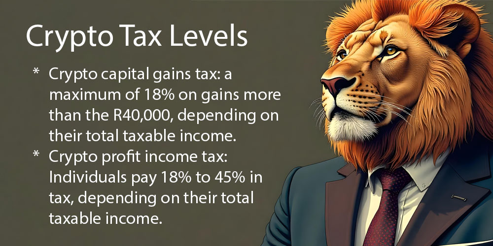 Crypto Tax Levels in South Africa